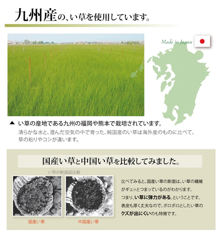 い草上敷き ほほえみ 江戸間サイズ