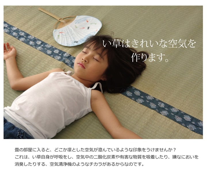 い草上敷き ほほえみ 本間サイズ