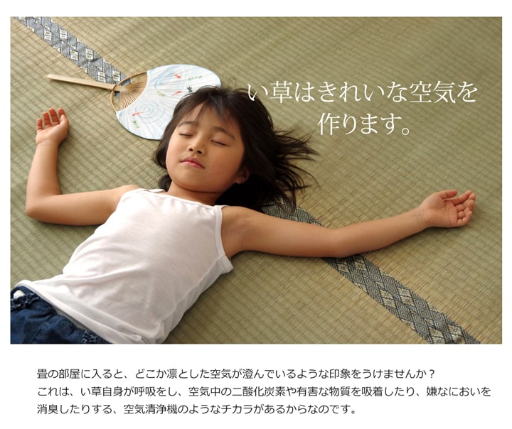 い草上敷き 湯沢 六一間サイズ