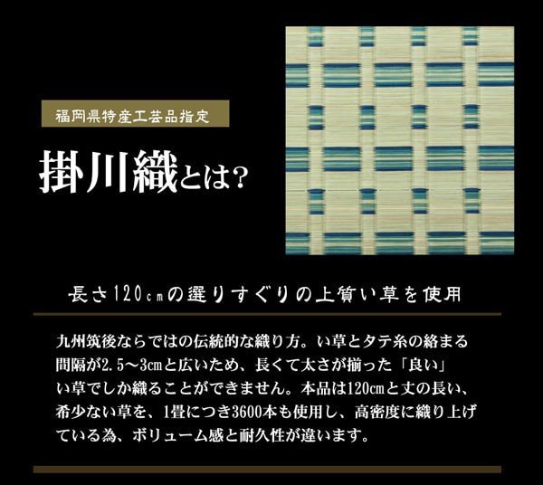 い草敷物の中でも高級品とされる「掛川織り」のカーペット 雲仙 本間サイズ
