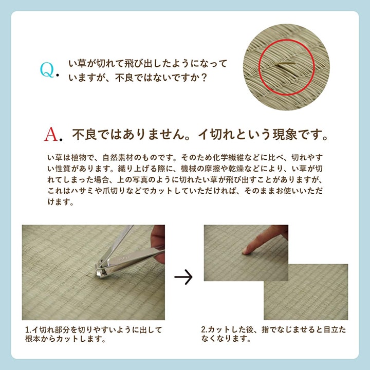 格子柄のい草カーペット 裏面不織布 江戸間サイズ