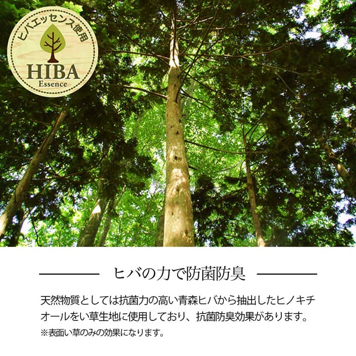 格子柄のい草カーペット 裏面不織布 江戸間サイズ