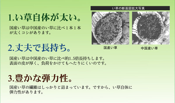 国産い草を使用したい草カーペット グラデーション
