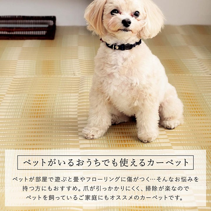 ペット対応の水洗いできるカーペット汚れに強く耐久性抜群!い草風デザイン 江戸間・本間サイズ