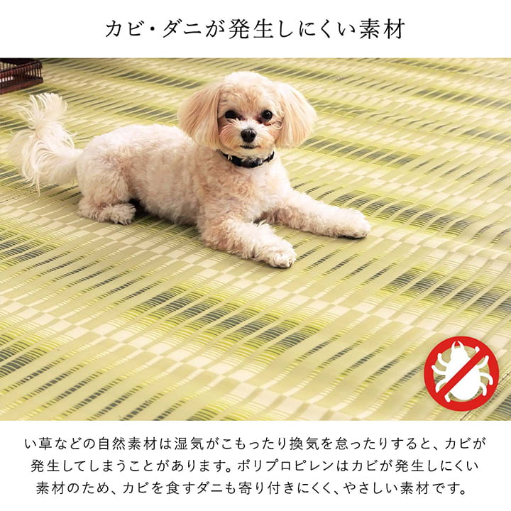 ペット対応の水洗いできるカーペット汚れに強く耐久性抜群!い草風デザイン 江戸間・本間サイズ