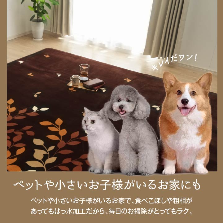 なめらかな肌触りのフランネルを使用した超大判ラグ
