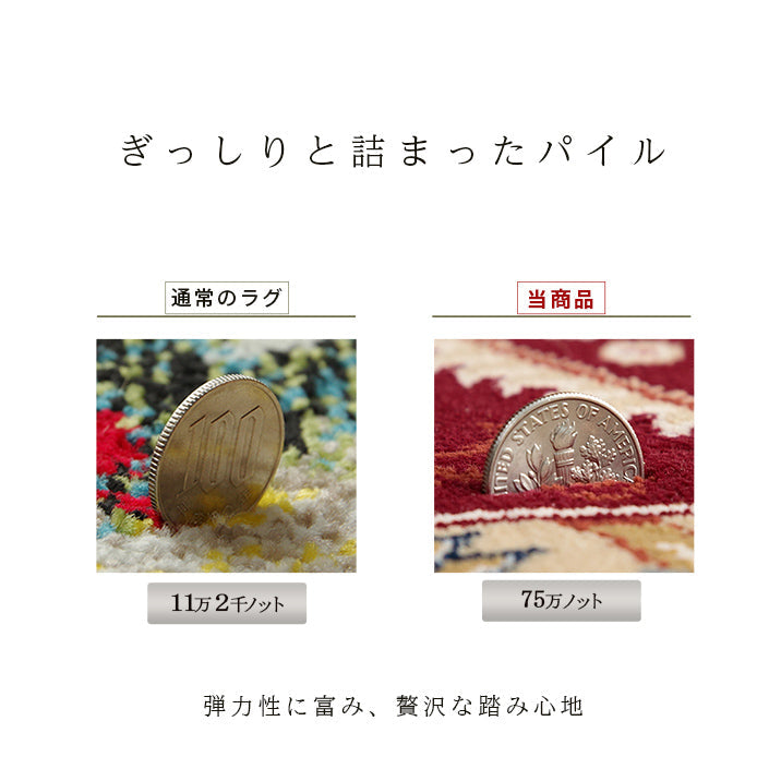 格調高いメダリオン柄ラグ トルコ製ウィルトン織りカーペット ベルミラ