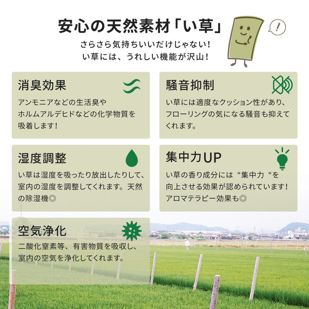 い草上敷き 柳川(やながわ)江戸間サイズ