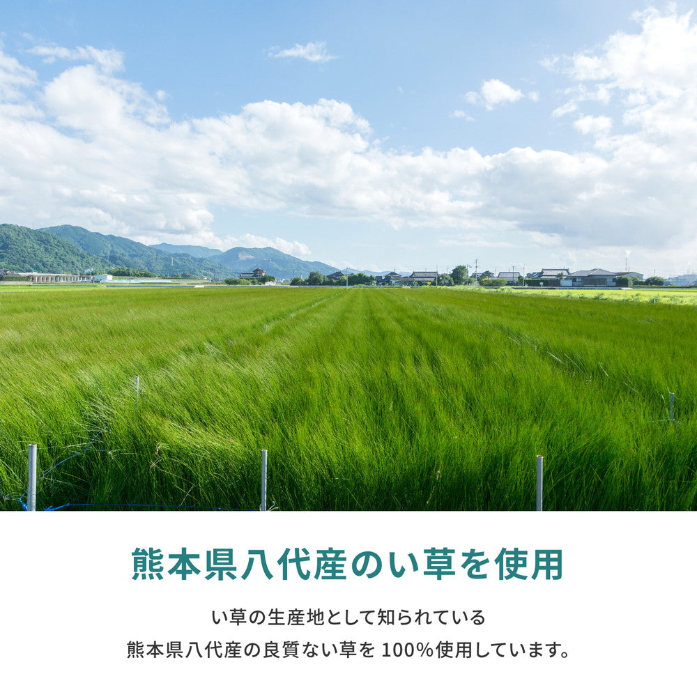 高品質な国産のい草と日本の職人の技術が織りなす双目織の上敷き 天草 三六間サイズ