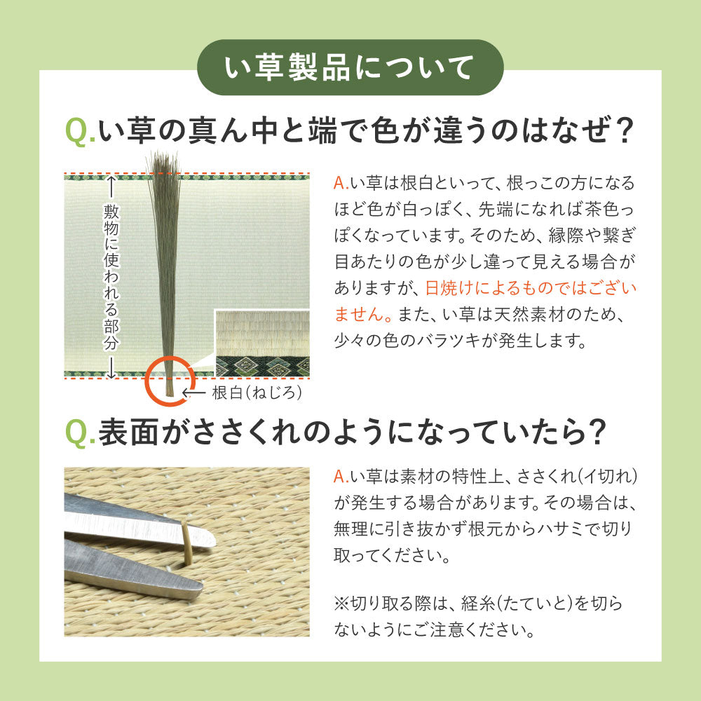 和モダンに映える、フローリングに置く畳 凛 置き畳 約82×82×2.5cm