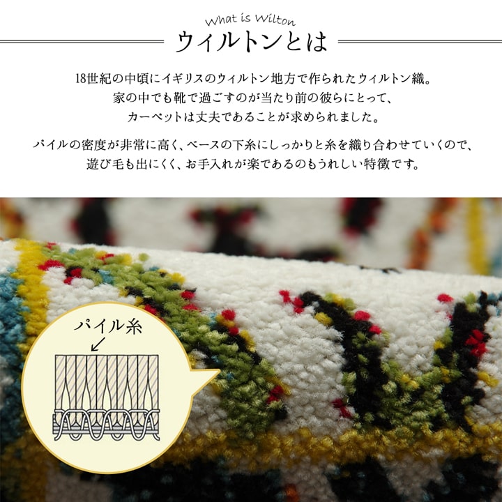 ホワイトベースの鮮やか玄関マット ダンテ