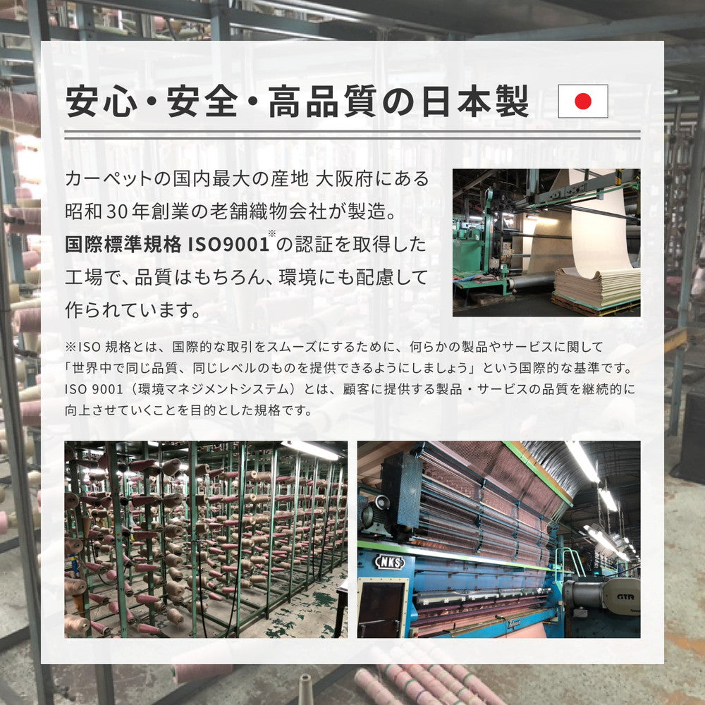 大きめサイズのカーペット 軽量で持ち運び簡単 江戸間1~10畳