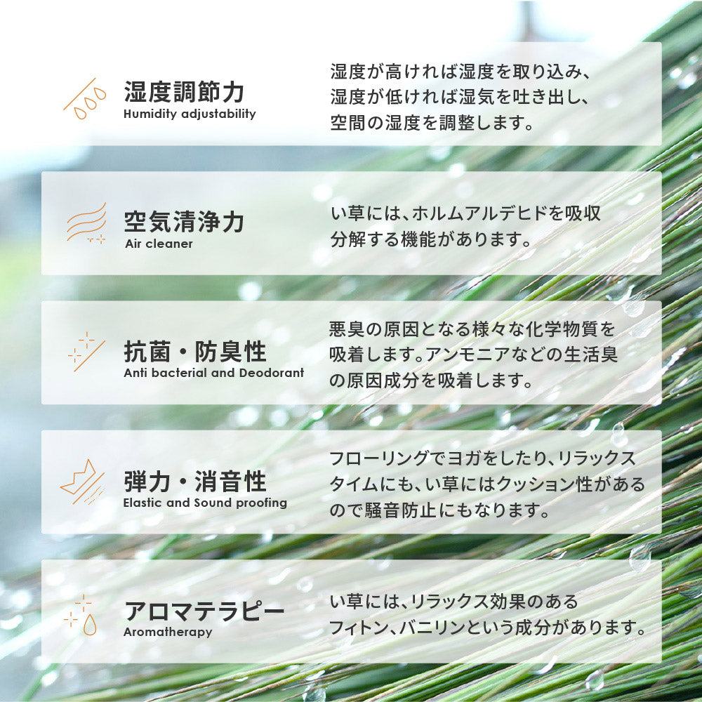 和モダンテイストのい草ラグ クレパス 中材にウレタンを約8mm入れた3層構造