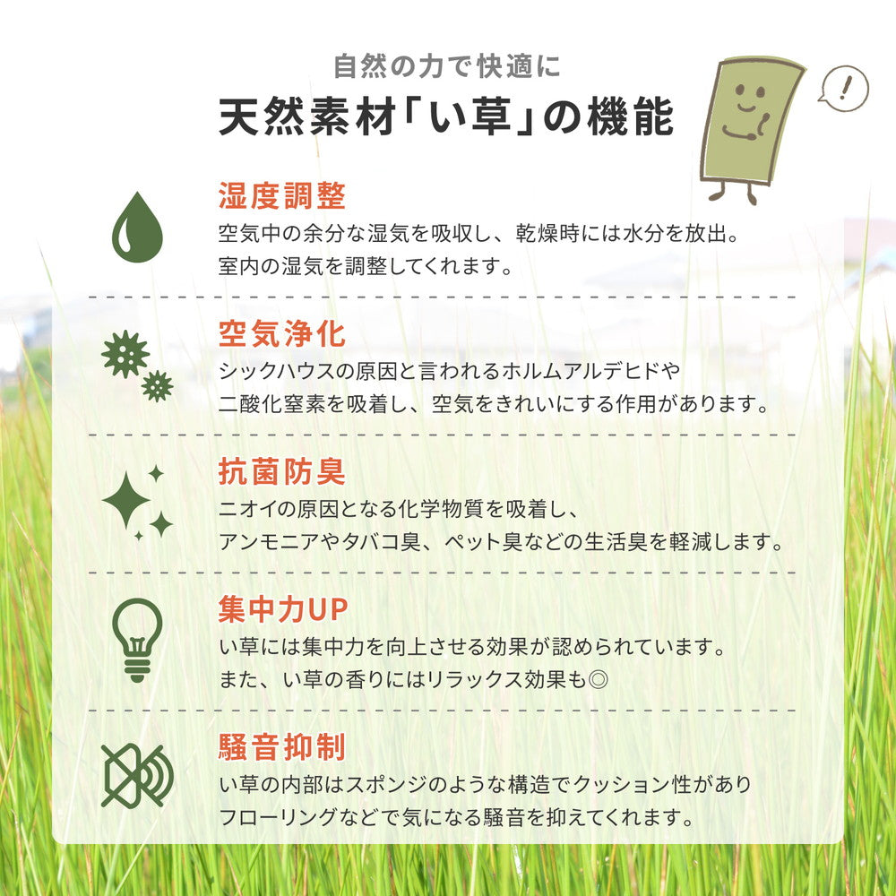 上質な国産い草のみを使用したい草ラグ 栄山 裏貼りなし