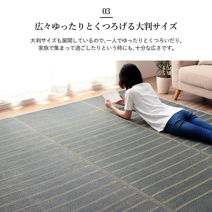 シンプルなボーダー柄のい草ラグ シルフ