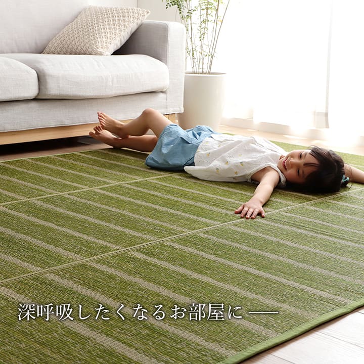 シンプルなボーダー柄のい草ラグ シルフ