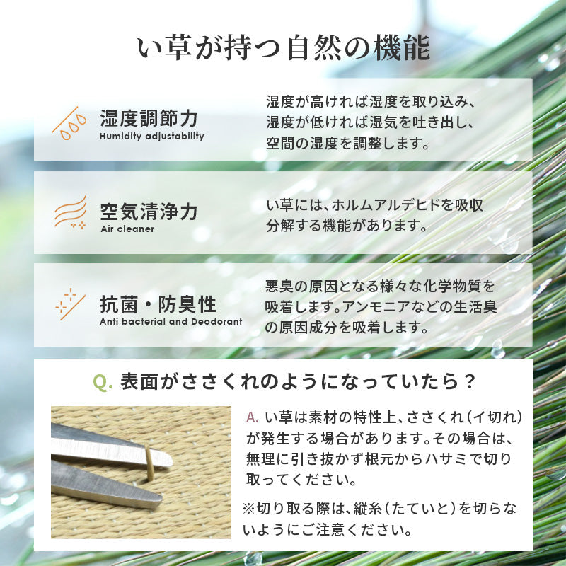 小上がり畳 畳付き収納スツール 幅120cm 高さ25cmロータイプ