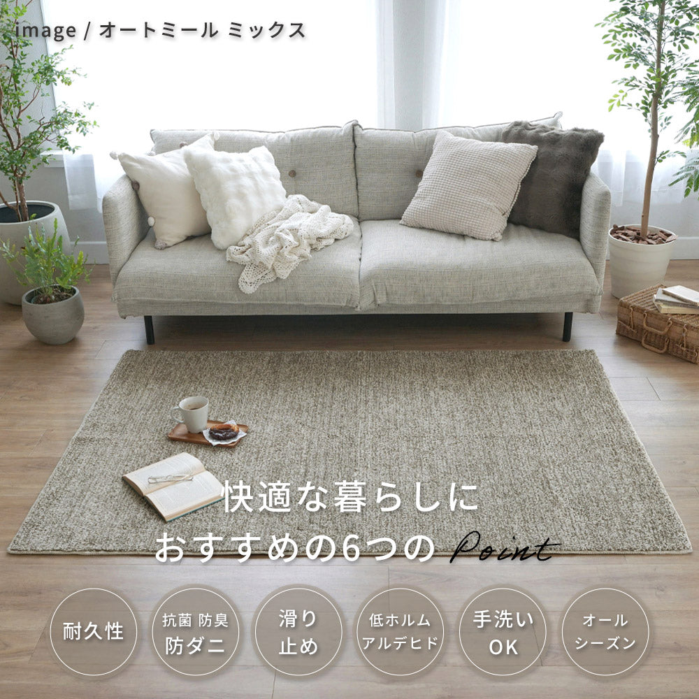 洗える抗菌・防臭・防ダニ ミックスラグ