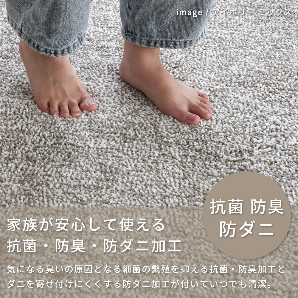 洗える抗菌・防臭・防ダニ ミックスラグ