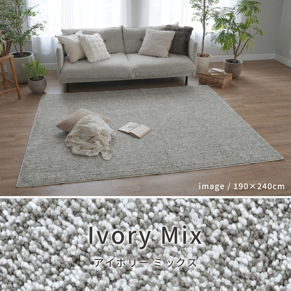 洗える抗菌・防臭・防ダニ ミックスラグ