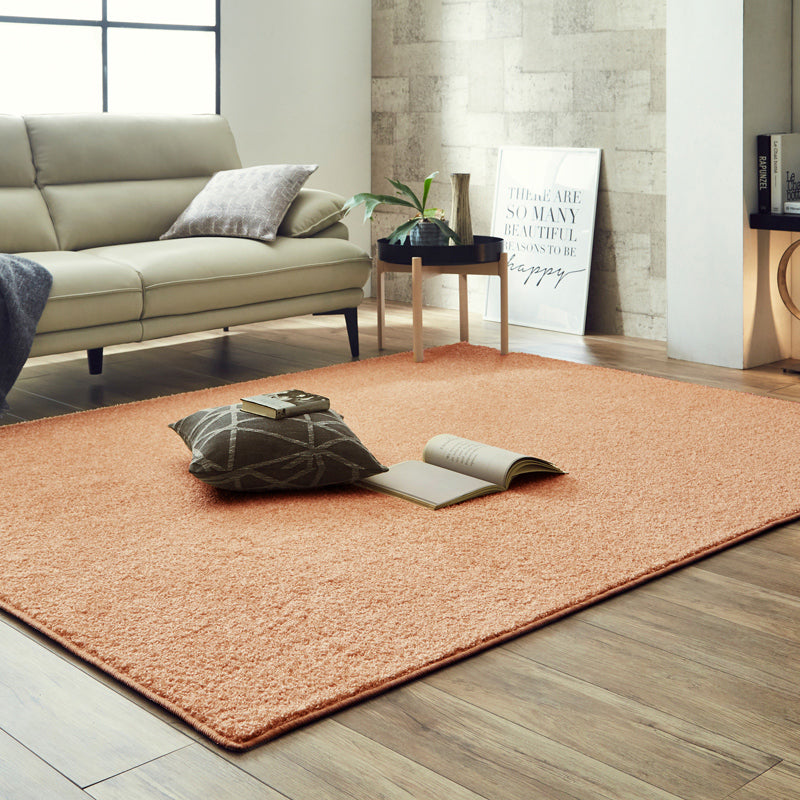 ナイロンカーペット サイズ加工対応 サンティエ