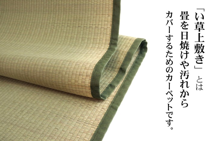 い草上敷き 草津 本間サイズ