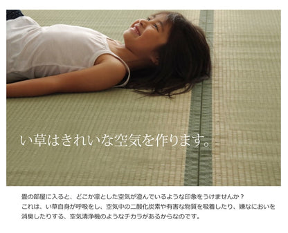 い草上敷き 草津 本間サイズ