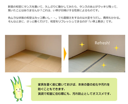 い草上敷き 湯沢 江戸間サイズ