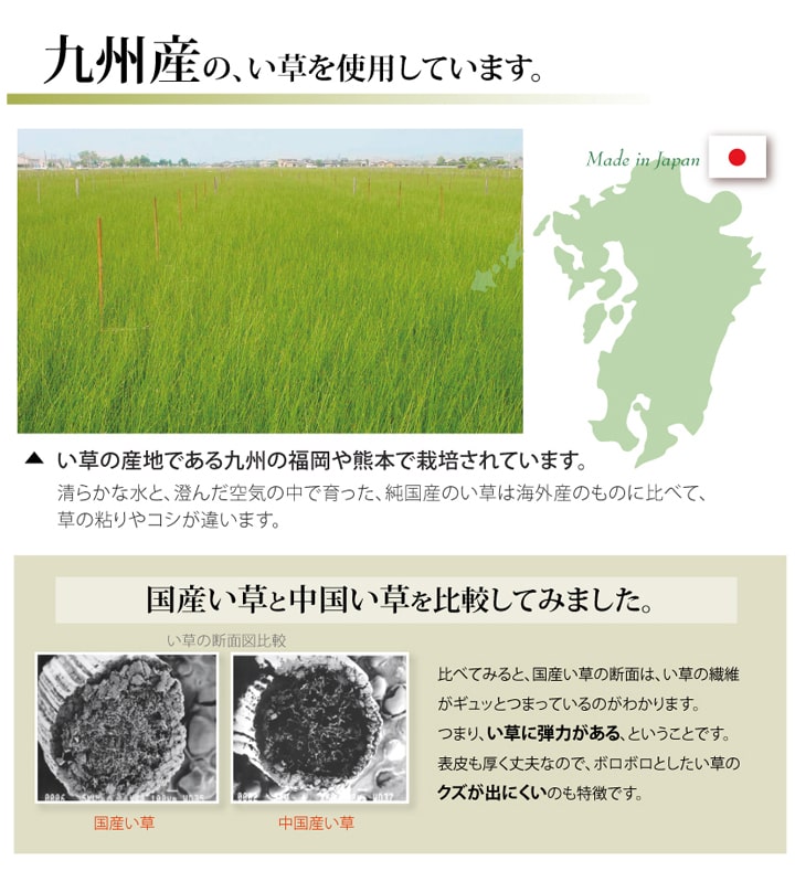 い草上敷き 湯沢 江戸間サイズ