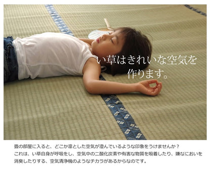 い草上敷き 梅花 六一間サイズ