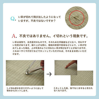 格子柄のい草カーペット 裏面不織布 団地間サイズ