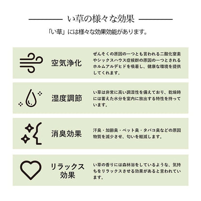 格子柄のい草カーペット 裏面不織布 江戸間サイズ