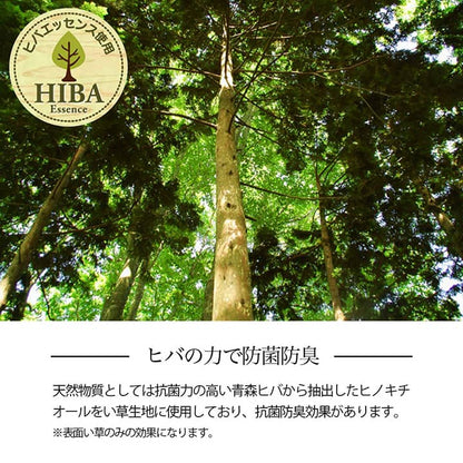 格子柄のい草カーペット 裏面不織布 本間サイズ