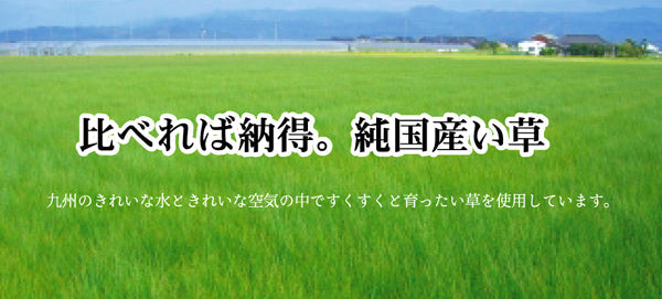 国産い草を使用したい草カーペット グラデーション