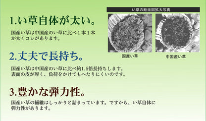 国産い草を使用したい草カーペット グラデーション