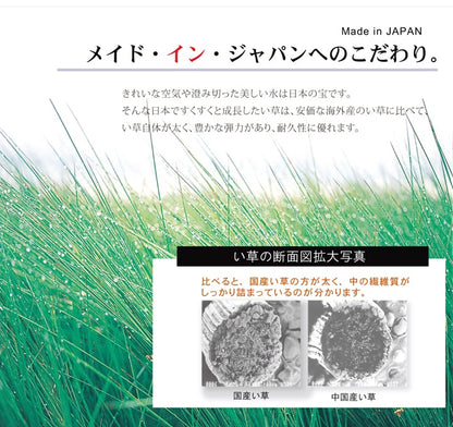 純国産い草を使用したい草ラグ オーディーン