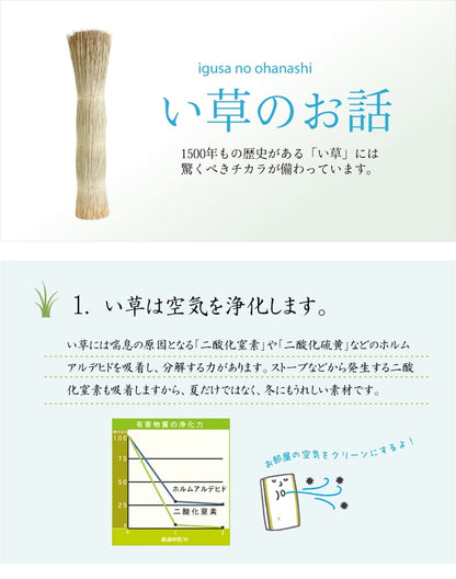 純国産い草を使用したい草ラグ オーディーン