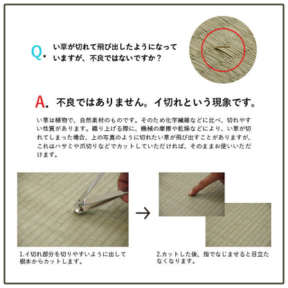 大きな格子小さなダイヤデザインのい草ラグ 中材ウレタン入り