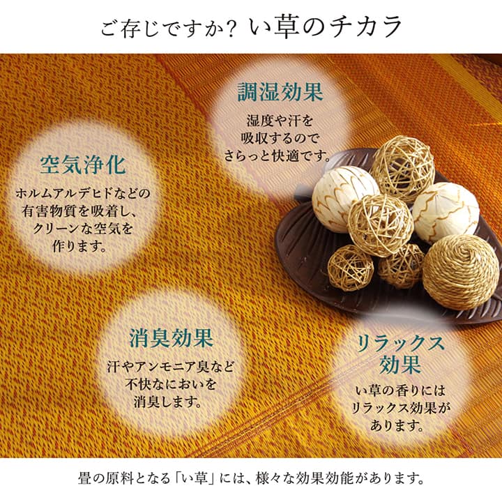 モダンデザインのい草ラグ 日本の職人により作られた和の美しさを持つ  江戸間サイズ ランクス