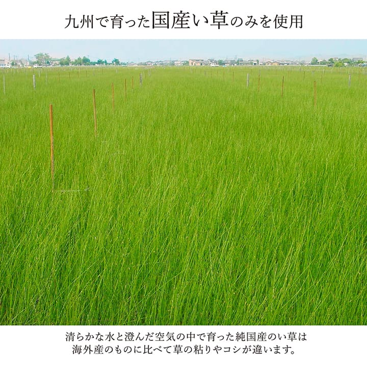 モダンデザインのい草ラグ 日本の職人により作られた和の美しさを持つ  江戸間サイズ ランクス