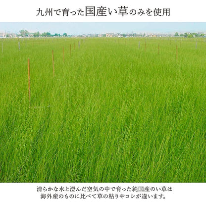 モダンデザインのい草ラグ 日本の職人により作られた和の美しさを持つ  江戸間サイズ ランクス