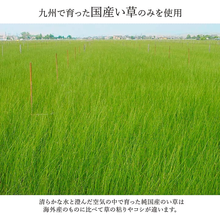 モダンデザインのい草ラグ 日本の職人により作られた和の美しさを持つ  江戸間サイズ 裏貼り加工 ランクス