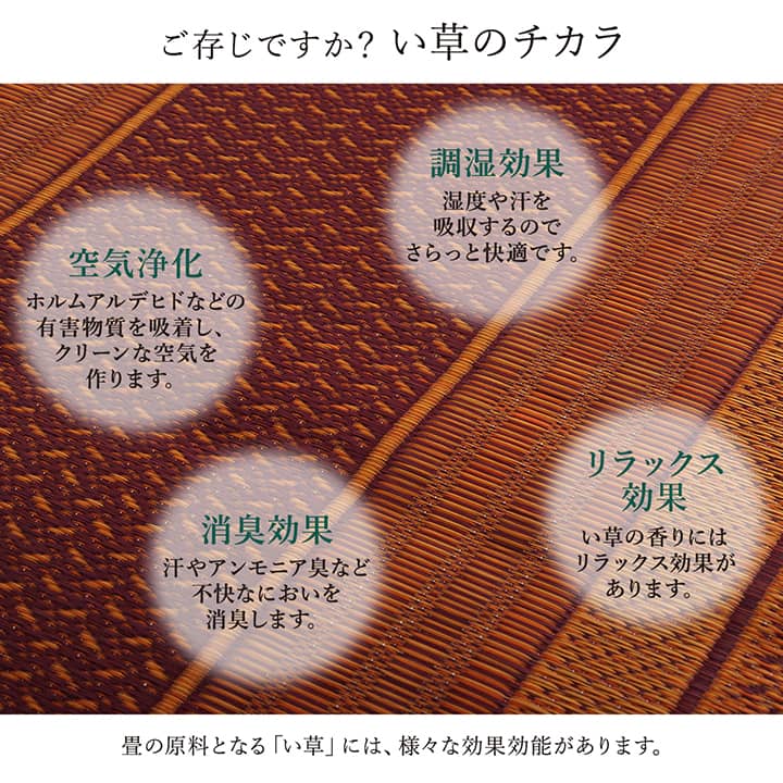 国産い草の廊下敷き 洗練されたモダンなデザイン ランクス 幅80cm