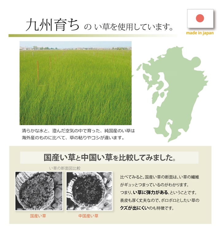 モダンデザインのい草玄関マット 日本の職人により作られた和の美しさを持つ ランクス