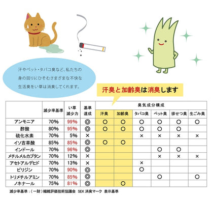 モダンデザインのい草玄関マット 日本の職人により作られた和の美しさを持つ ランクス