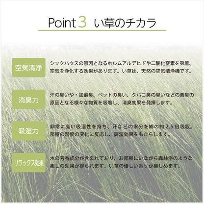 大きなリーフ柄が特徴の置き畳 デザインリーフ
