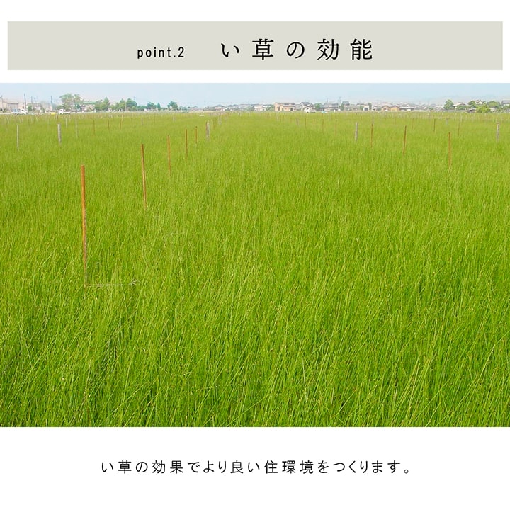 九州産い草の置き畳 フローリングに置くだけで懐かしい畳の香り 厚み約15mmの3層構造