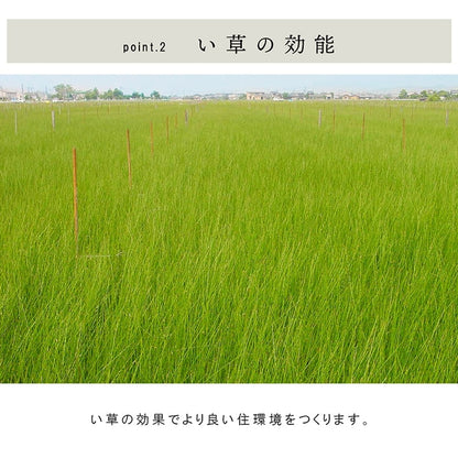 九州産い草の置き畳 フローリングに置くだけで懐かしい畳の香り 厚み約30mmの4層構造
