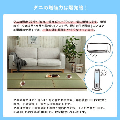 滅ダニシートを使用した置き畳 ダニ増殖抑制99％を実現する