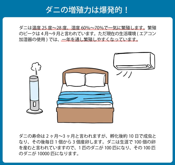 敷き布団 ダニ増殖抑制99％を実現する特殊滅ダニシートを使用